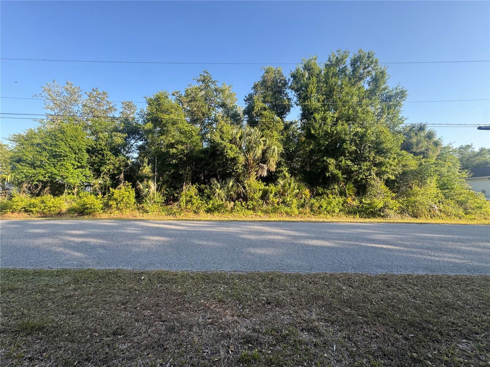 PETAL RD — photo 4