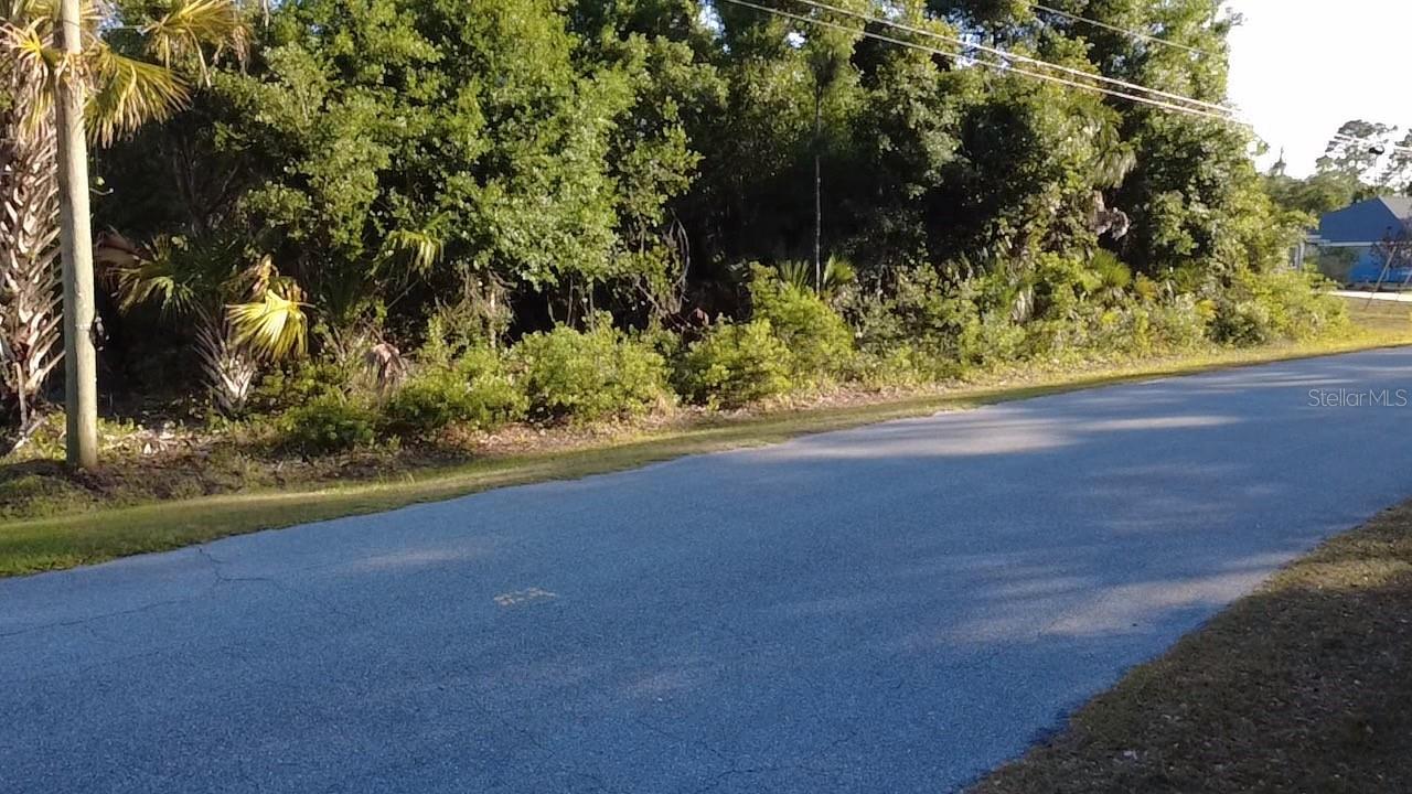 PETAL RD — photo 5