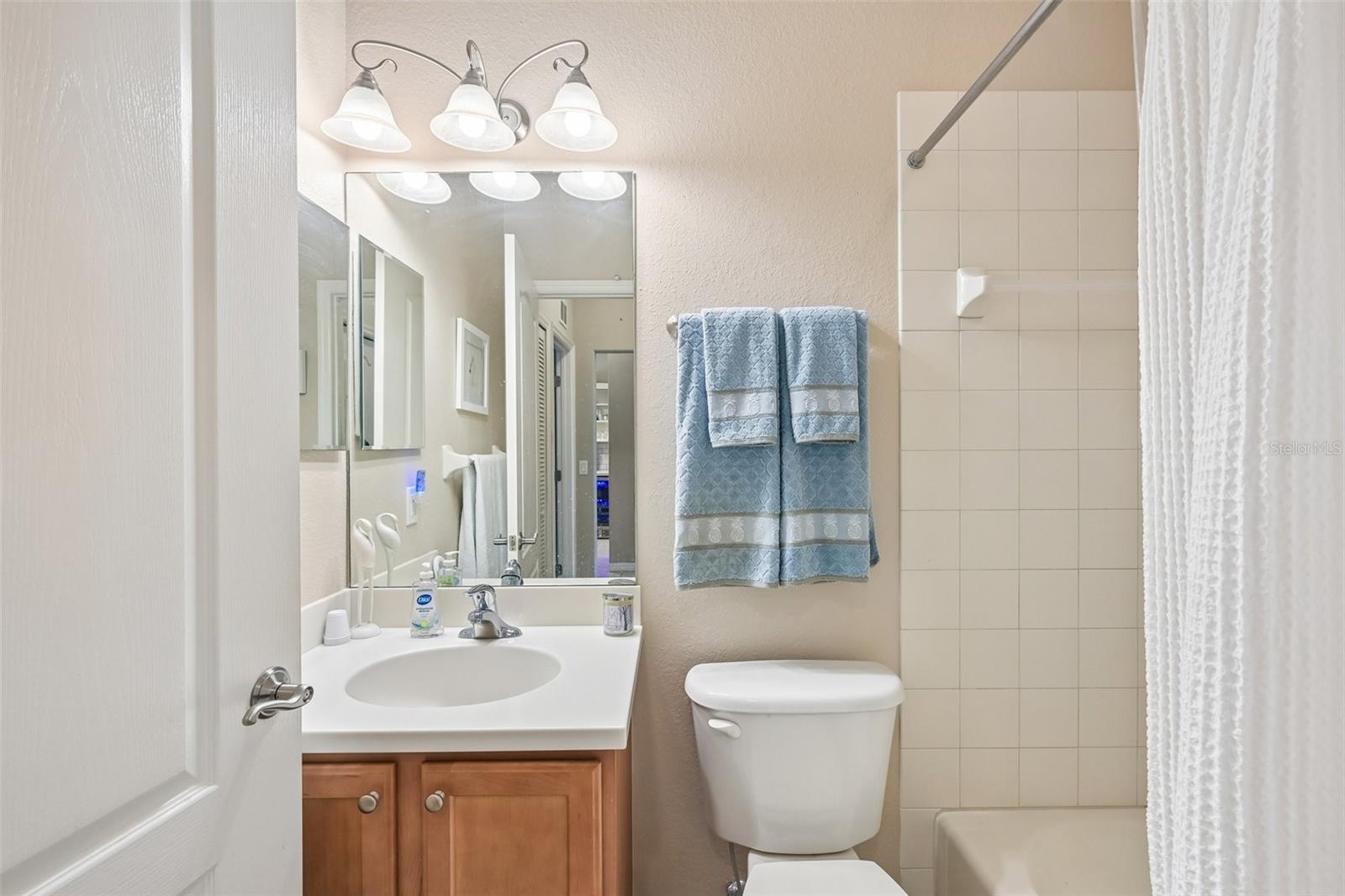 1003 FAIRWAYCOVE LN #201 — photo 11