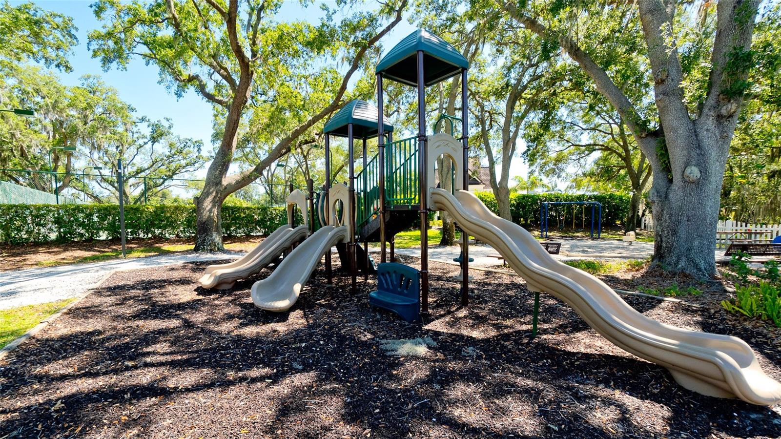 540 MAST DR — photo 20
