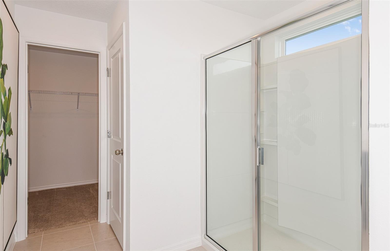 9911 TRELLIS VINE WAY — photo 11
