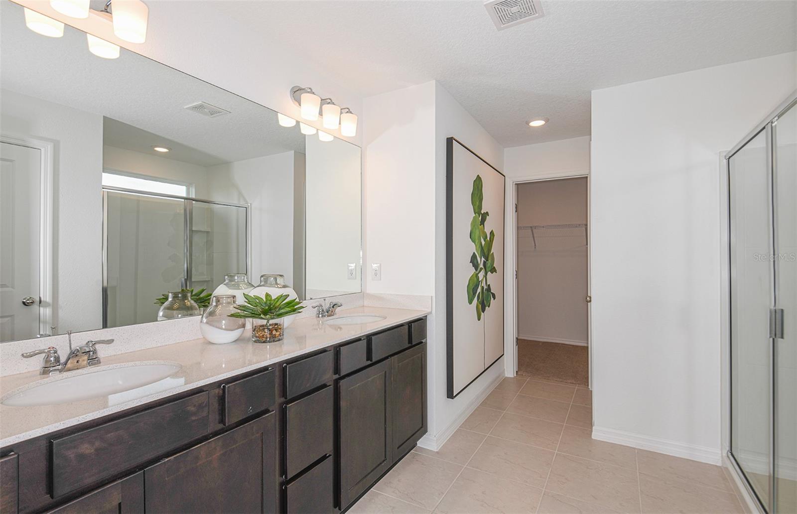 9911 TRELLIS VINE WAY — photo 10