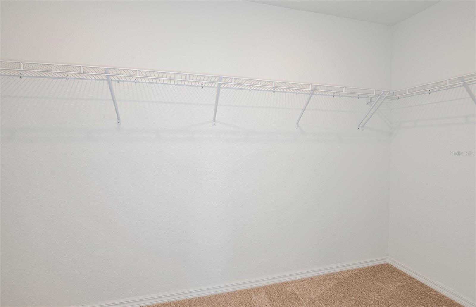 9911 TRELLIS VINE WAY — photo 12