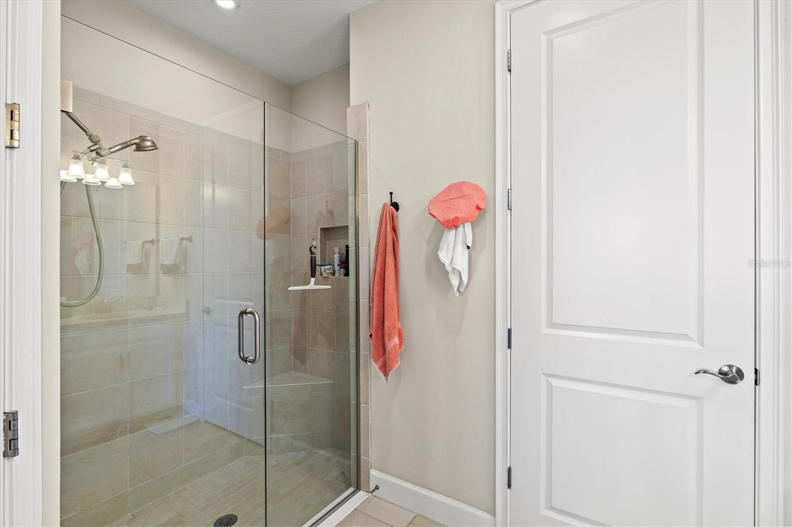 10254 MORNING MIST LN — photo 22