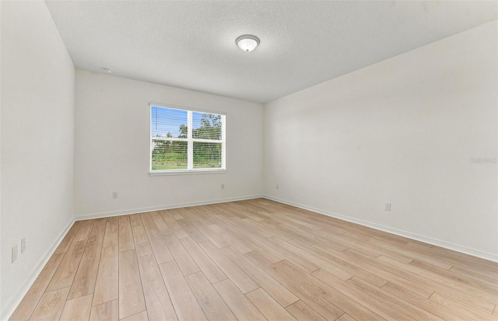 10037 TRELLIS VINE WAY — photo 7