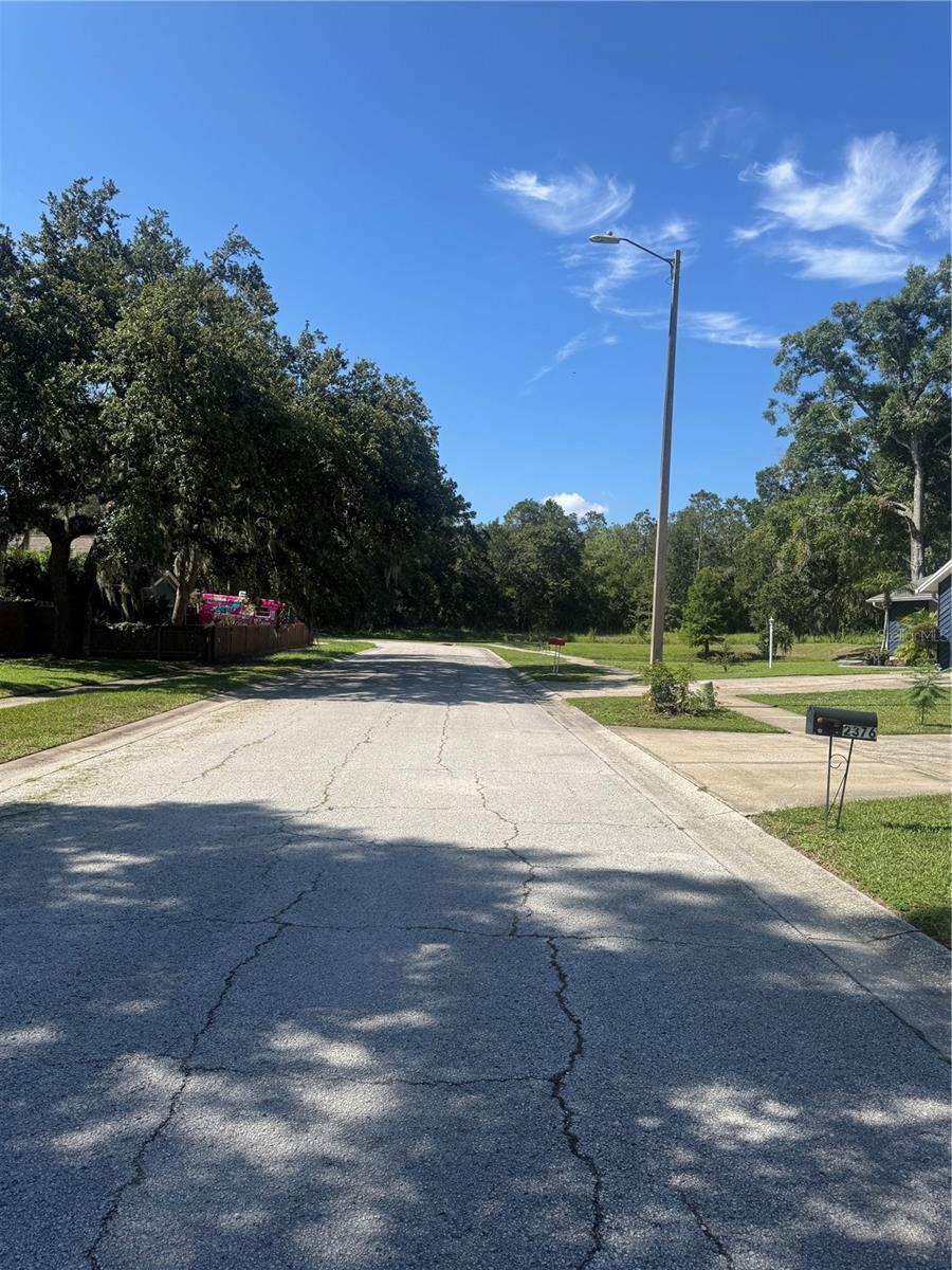 2376 WINDSOR OAKS AVE — photo 39