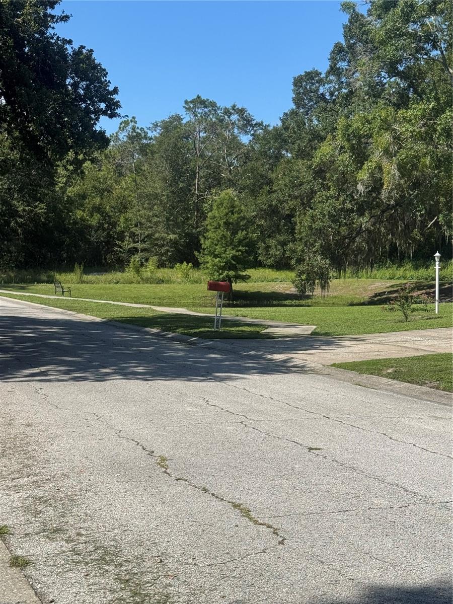2376 WINDSOR OAKS AVE — photo 40
