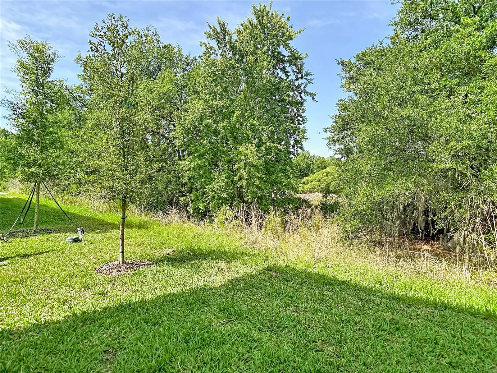 10801 FORT WHITE CT — photo 79