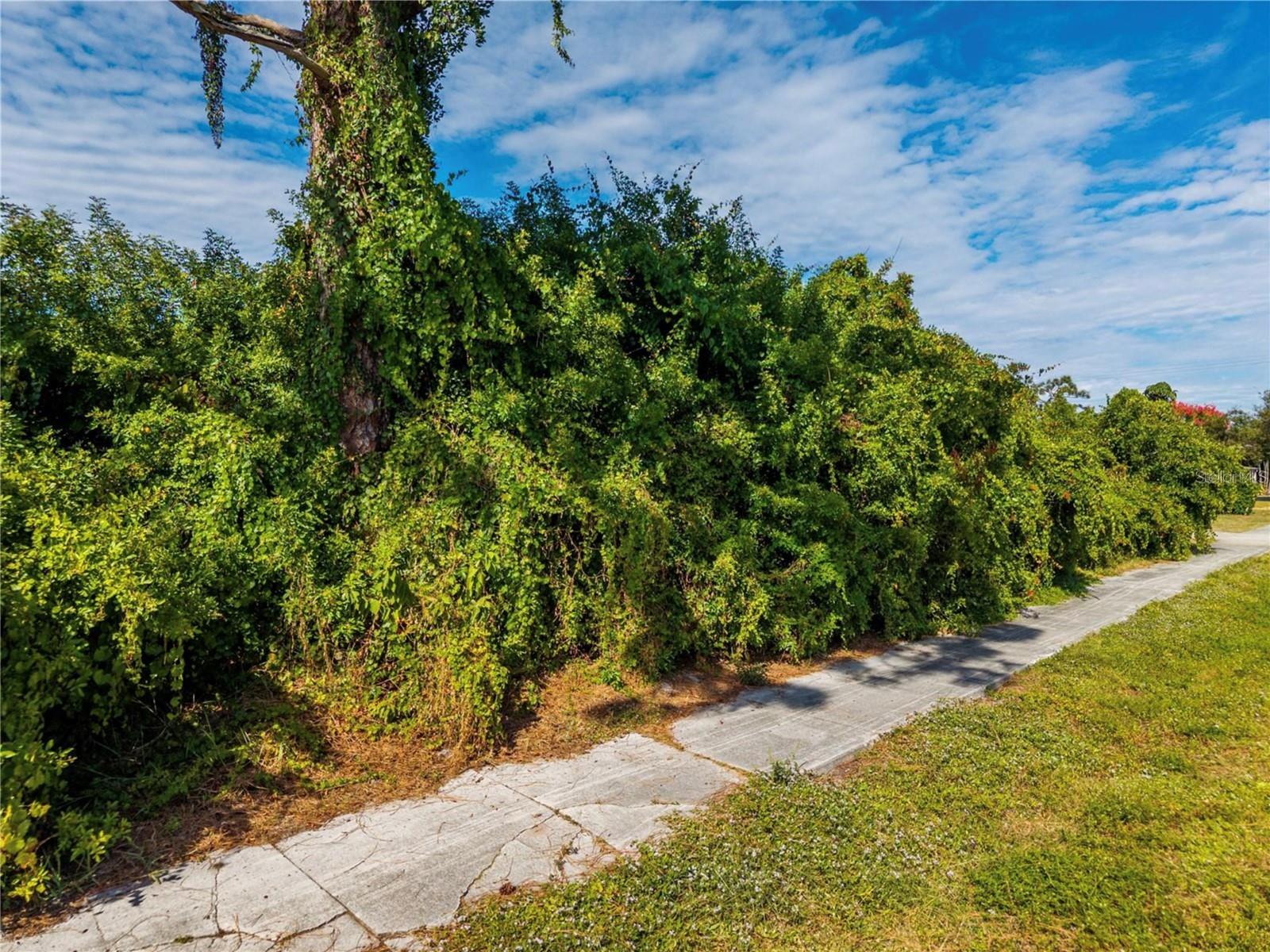 31 W SEMINOLE DR — photo 9