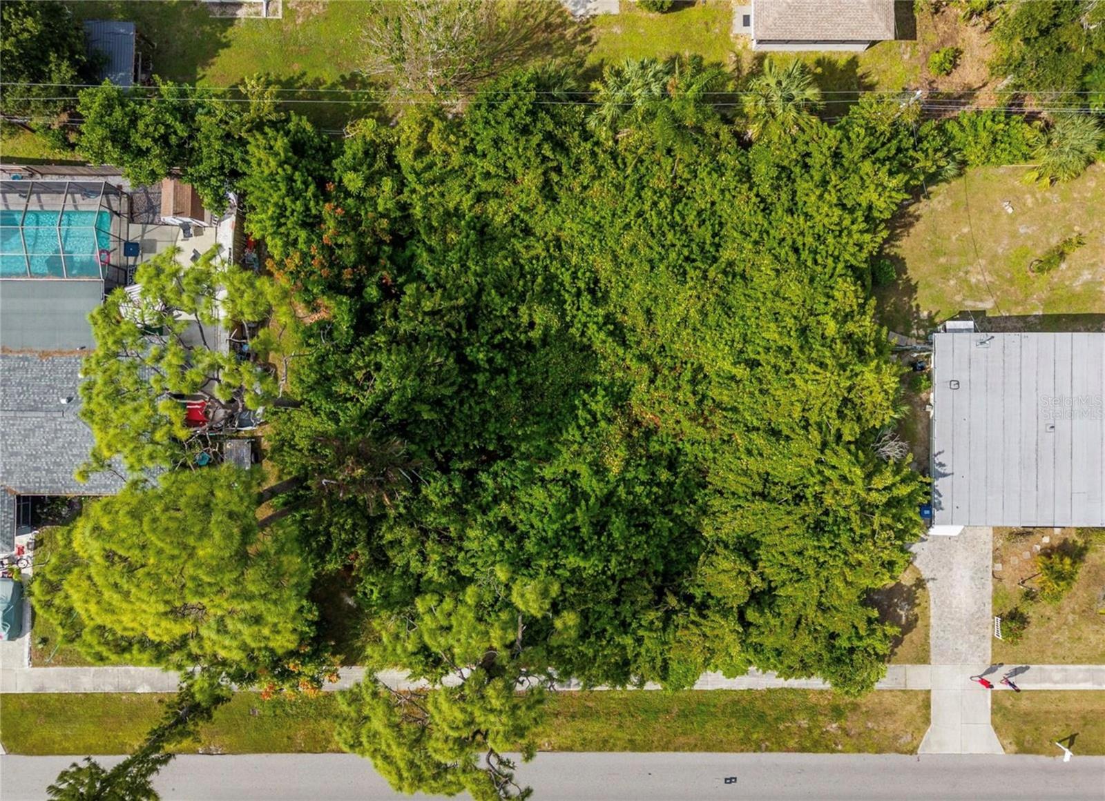 31 W SEMINOLE DR — photo 5