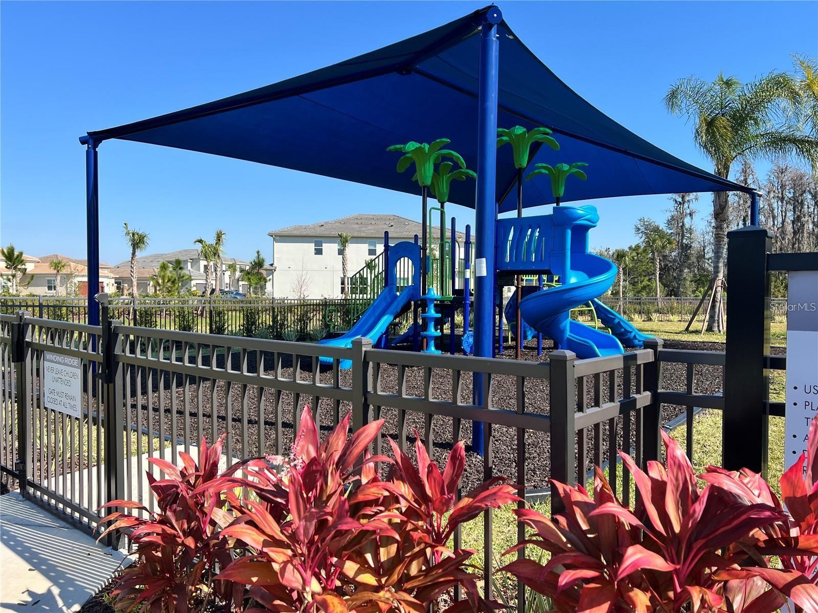 3281 GREAT BANYAN WAY — photo 45