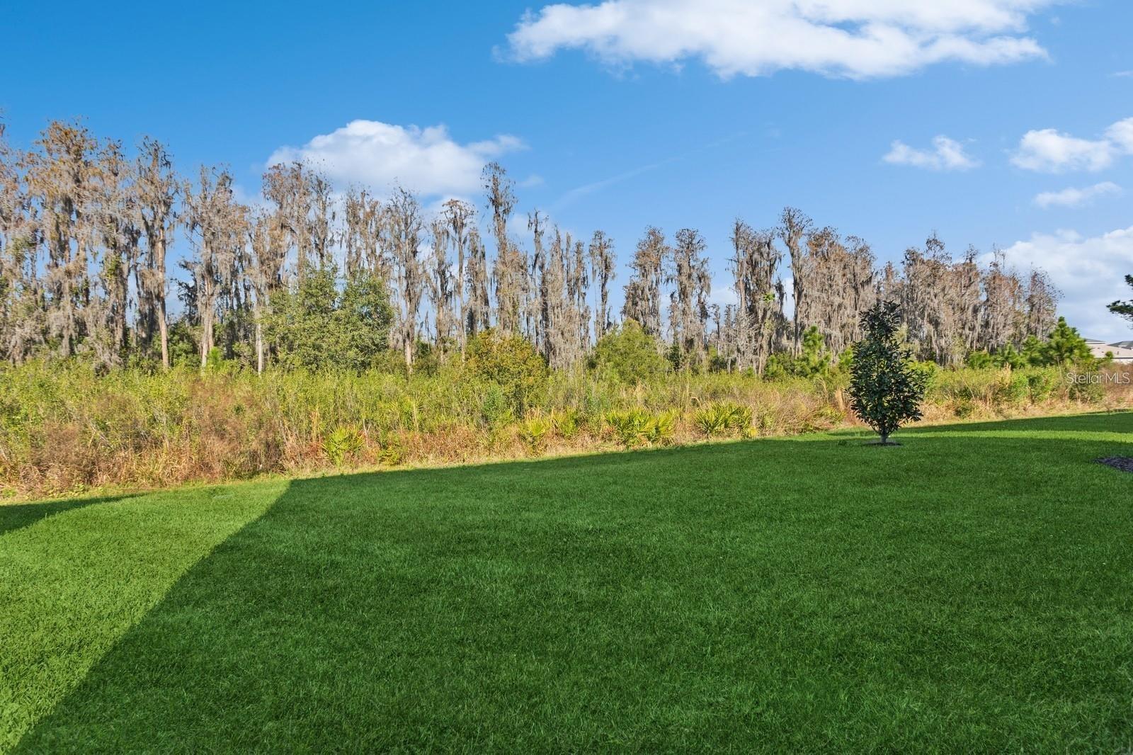 3281 GREAT BANYAN WAY — photo 38