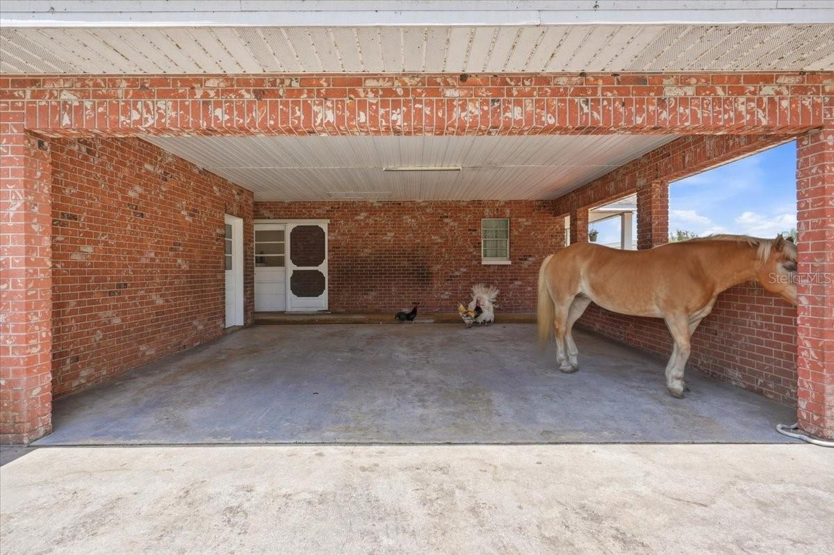 303 KARPPE RD — photo 26