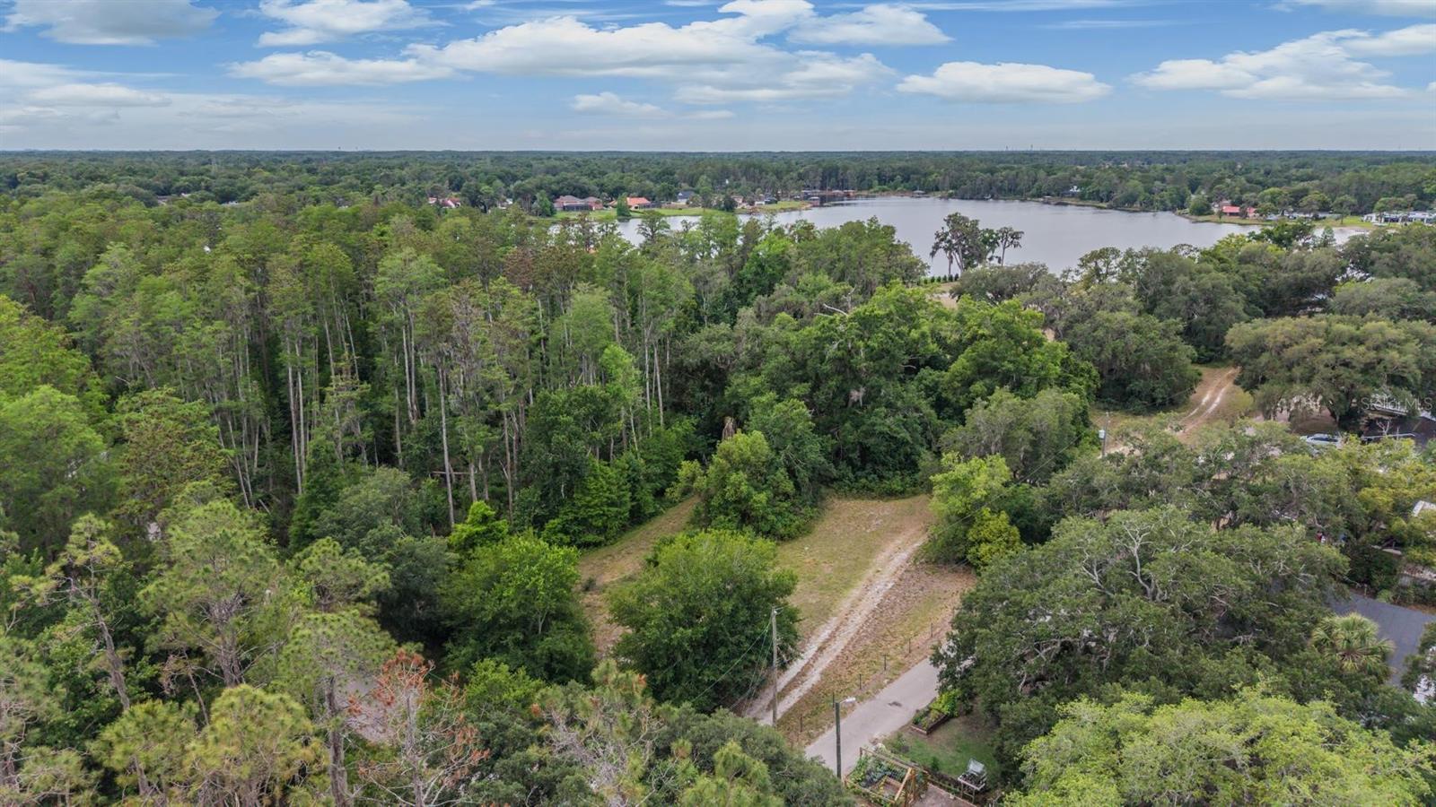 215 LAKE BRANT DR — photo 11