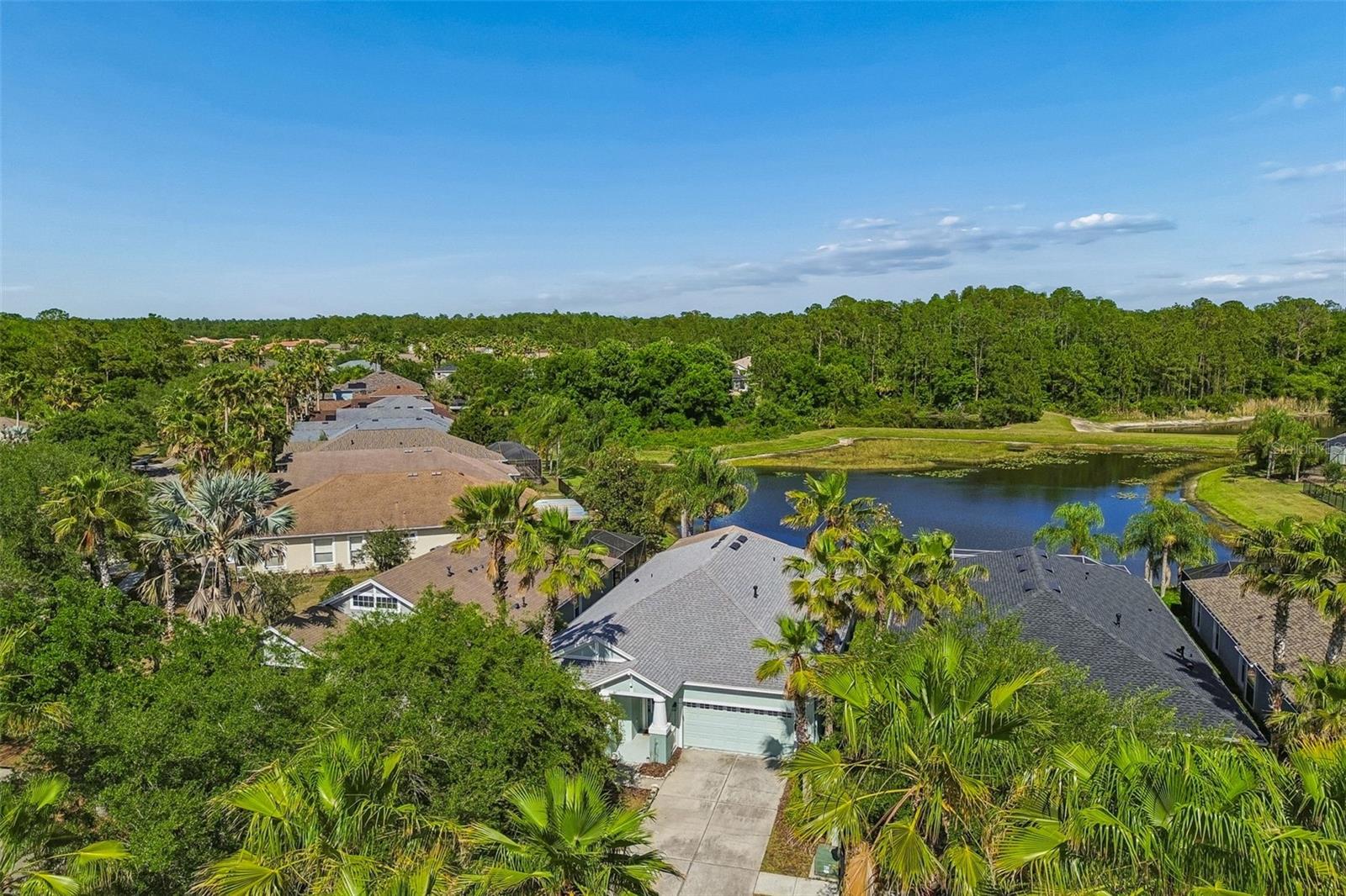 20133 HERON CROSSING DR — photo 46
