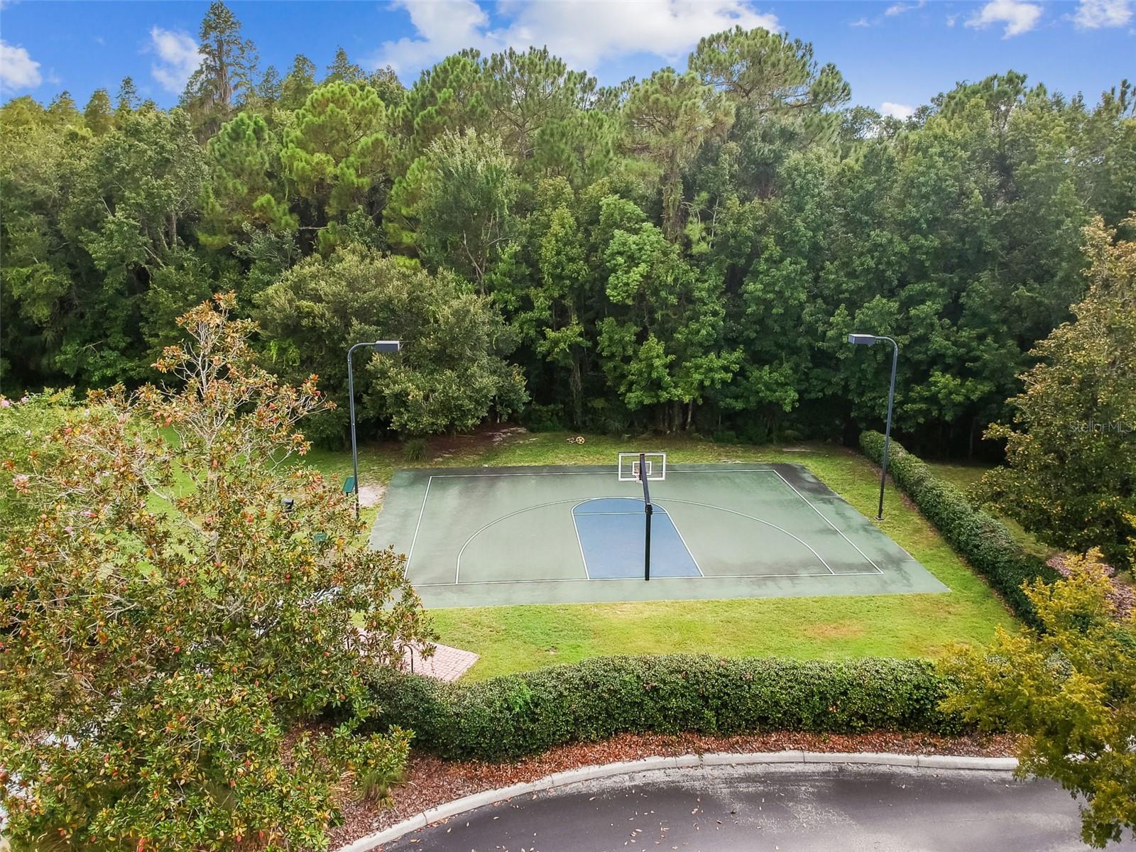 20133 HERON CROSSING DR — photo 65