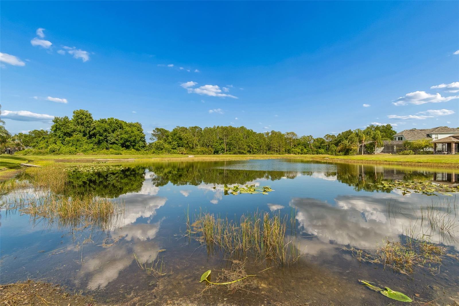 20133 HERON CROSSING DR — photo 45