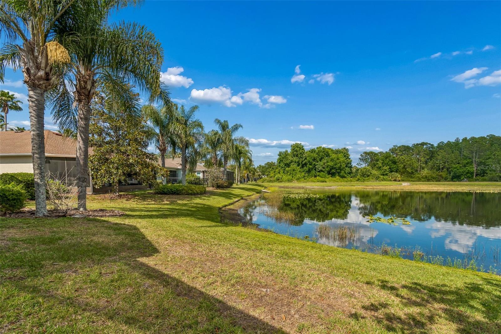 20133 HERON CROSSING DR — photo 42