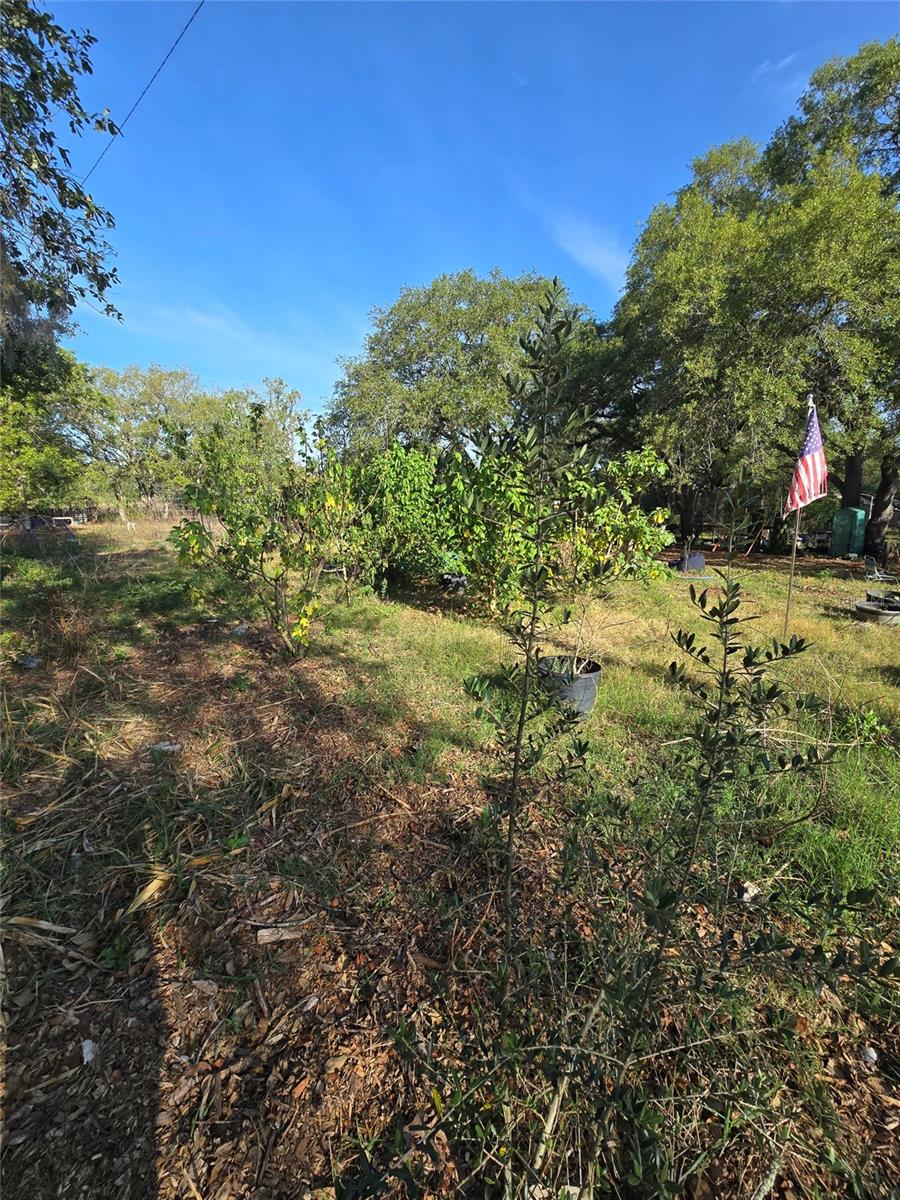 14515 GIDDYUP LN — photo 2