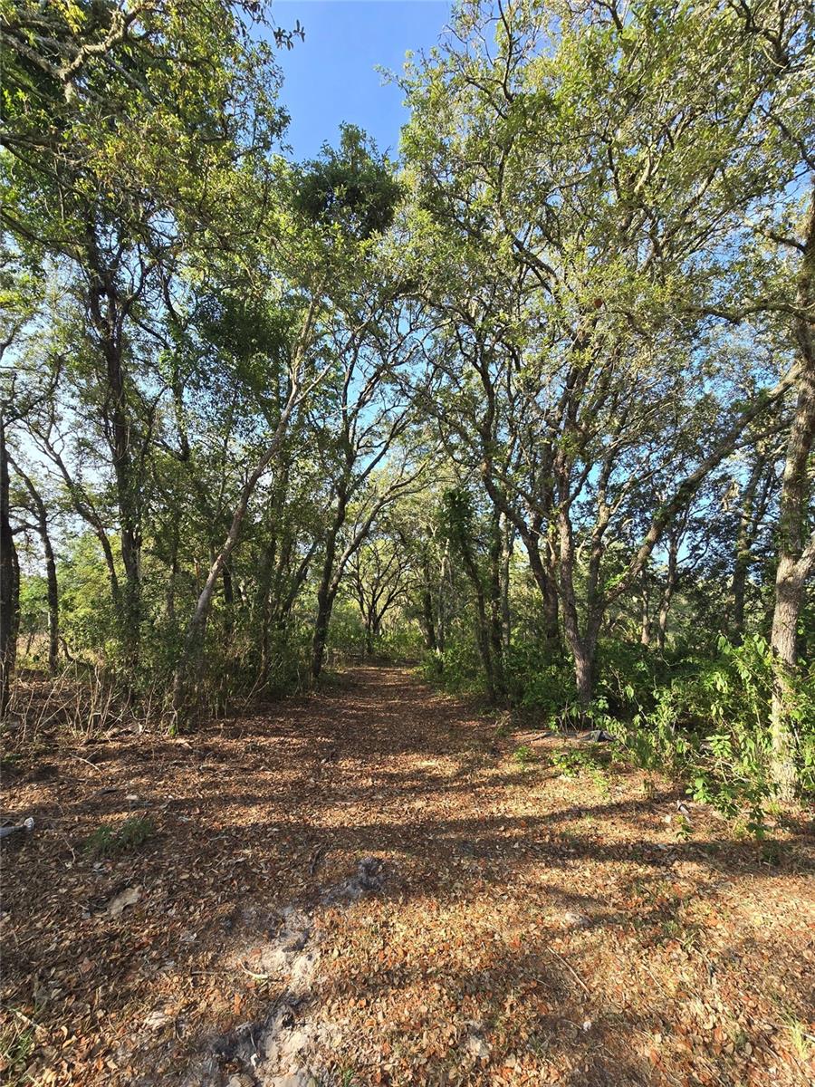 14515 GIDDYUP LN — photo 3