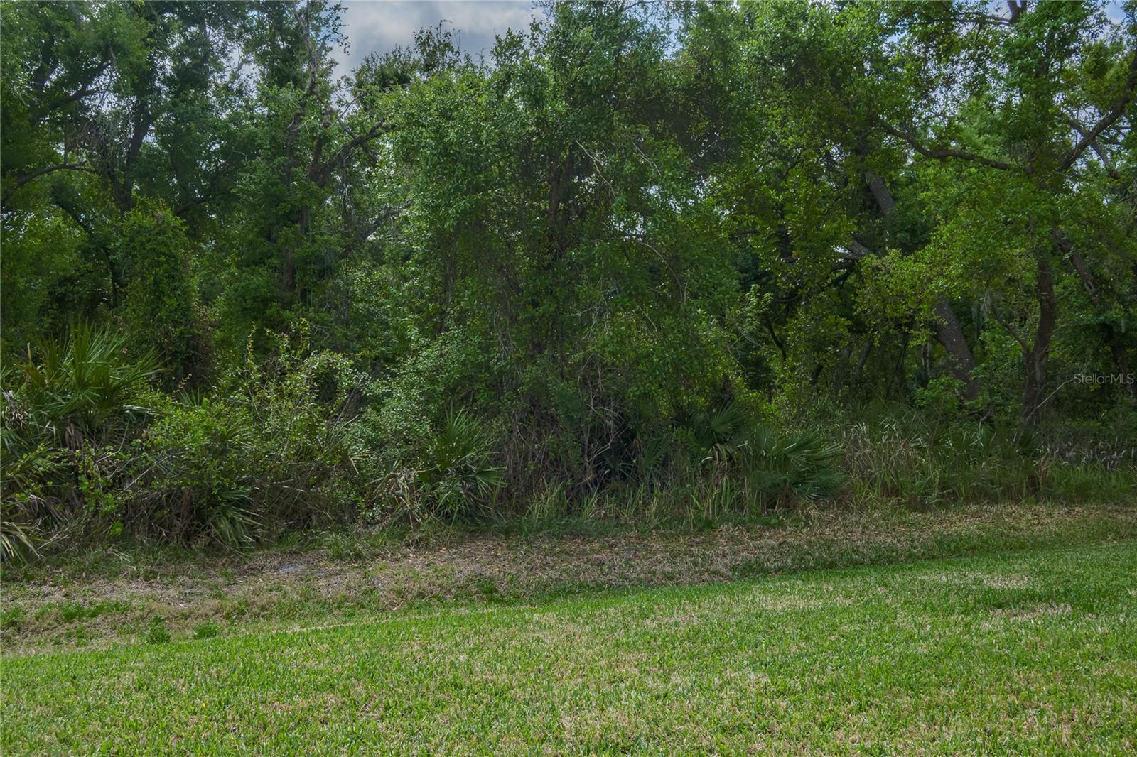 3208 WOODLAND FERN DR — photo 25