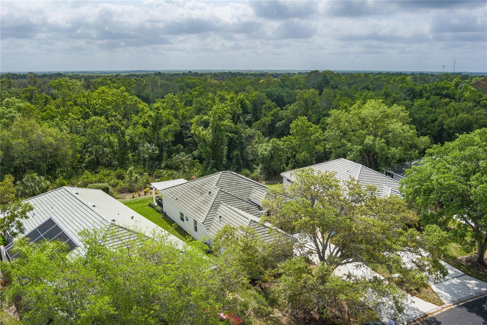 3208 WOODLAND FERN DR — photo 28