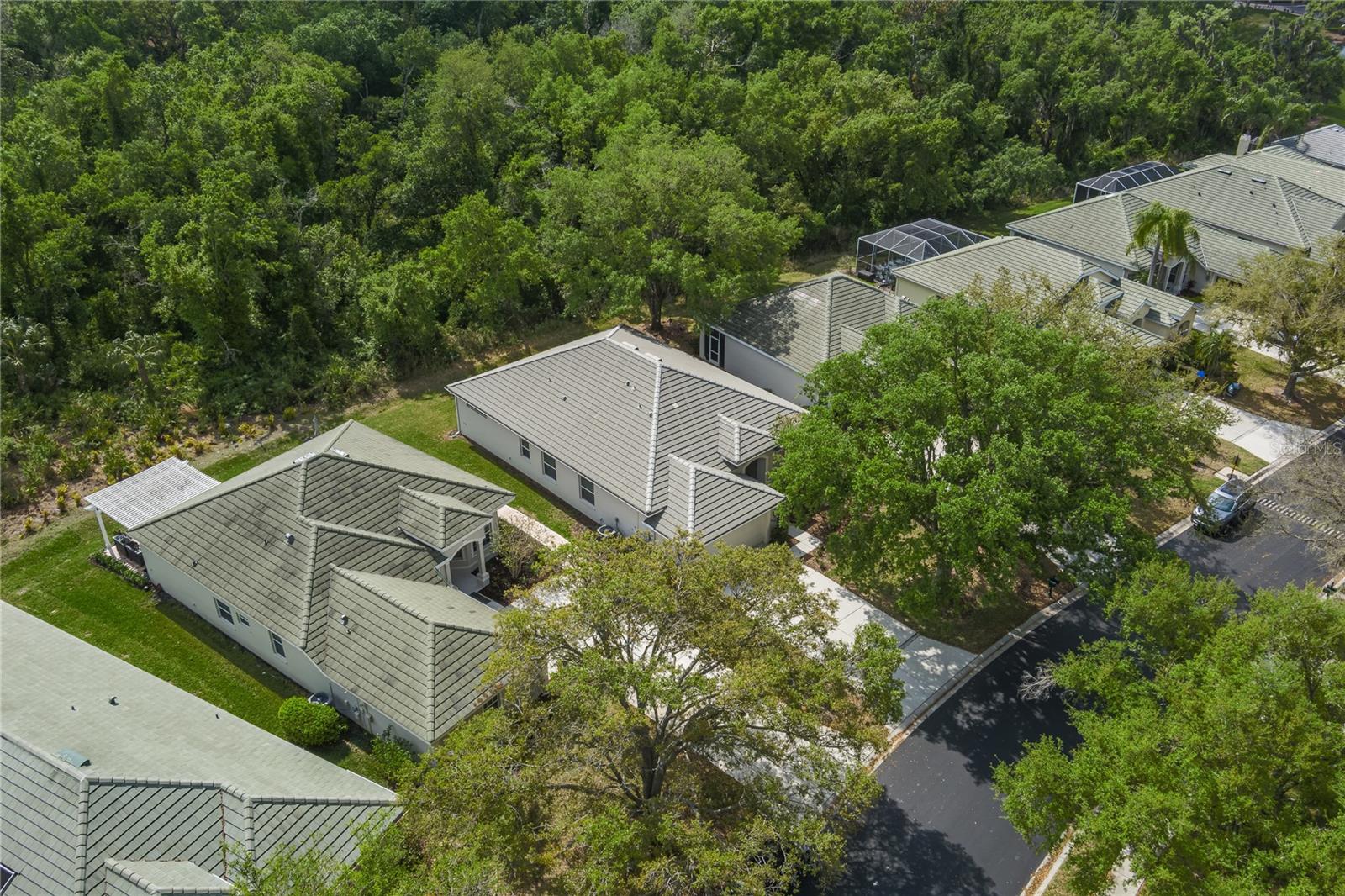 3208 WOODLAND FERN DR — photo 26