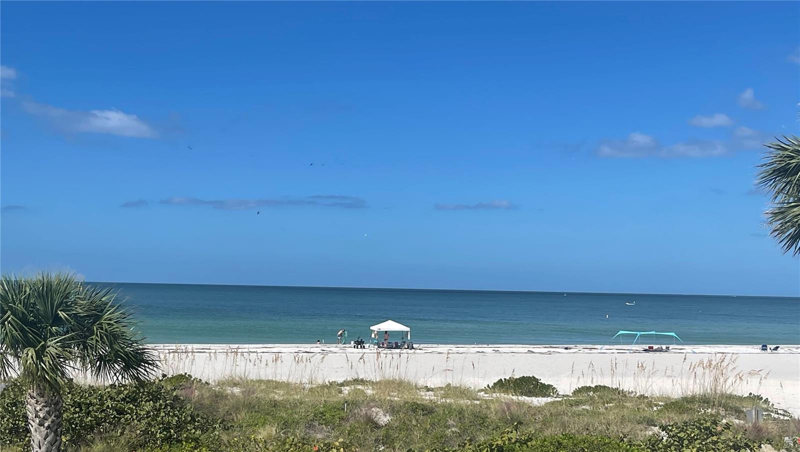 1390 GULF BLVD #PH-3 — photo 70
