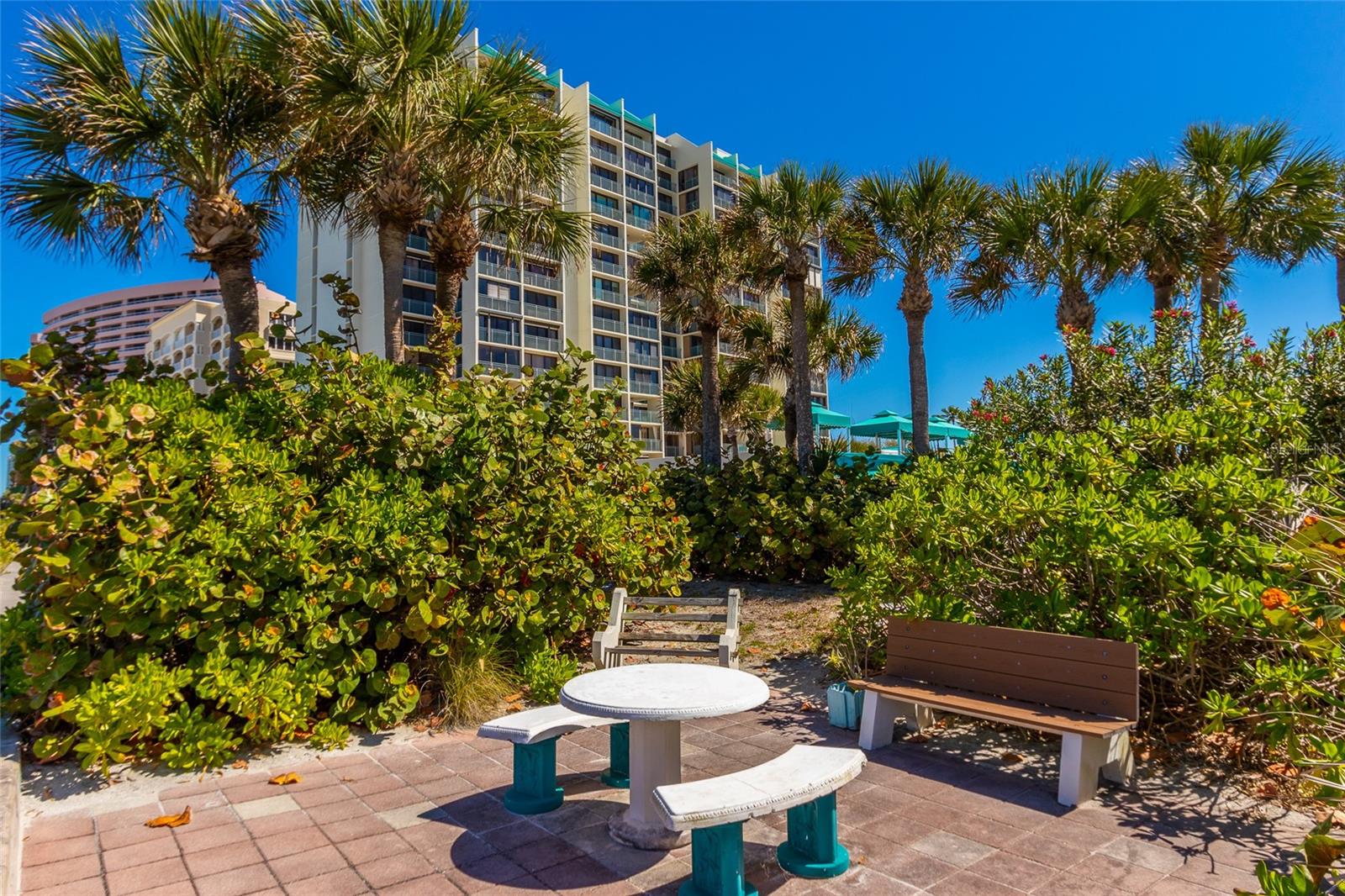 1390 GULF BLVD #PH-3 — photo 61