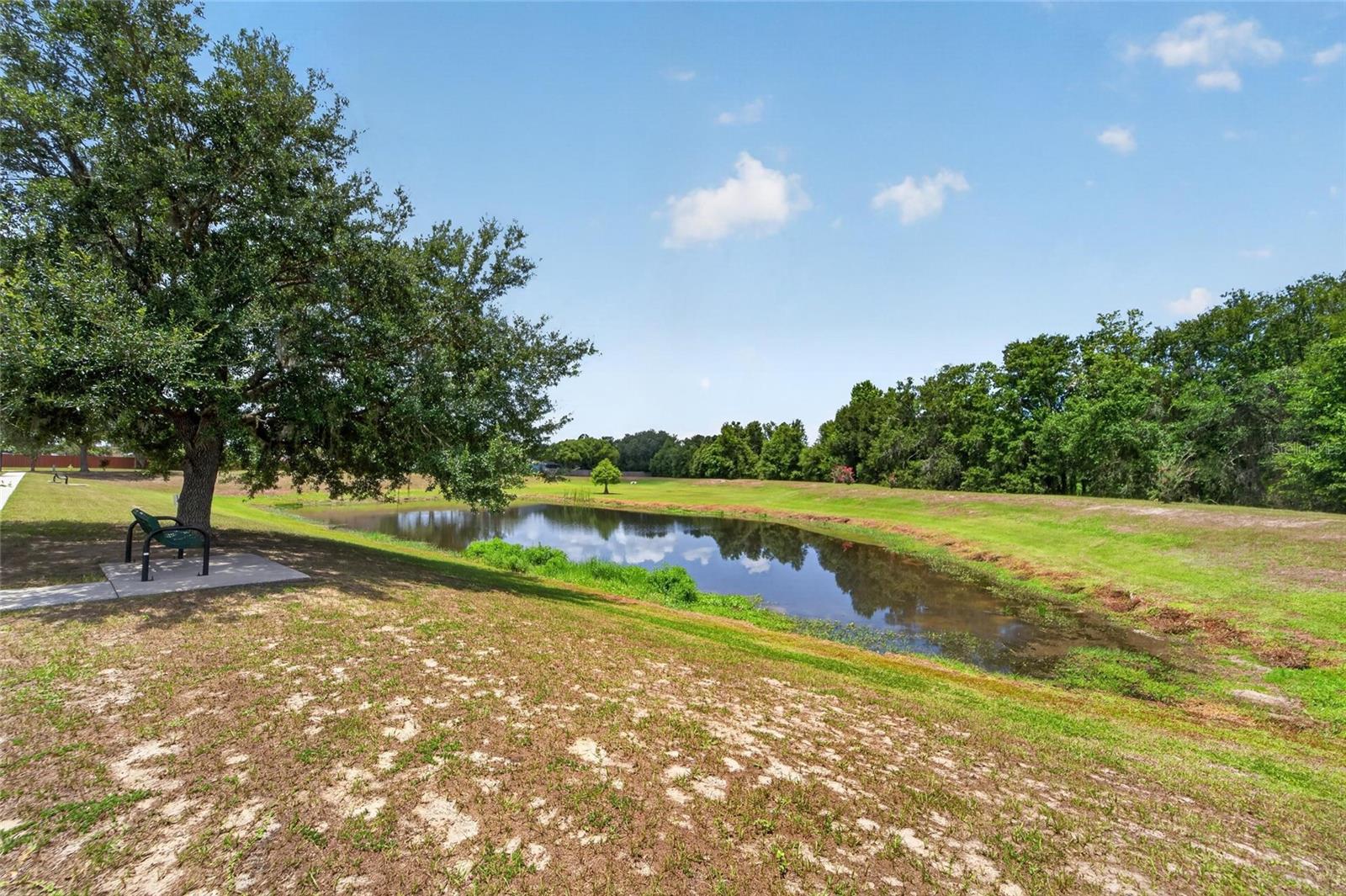 12124 COLONIAL ESTATES LN — photo 4