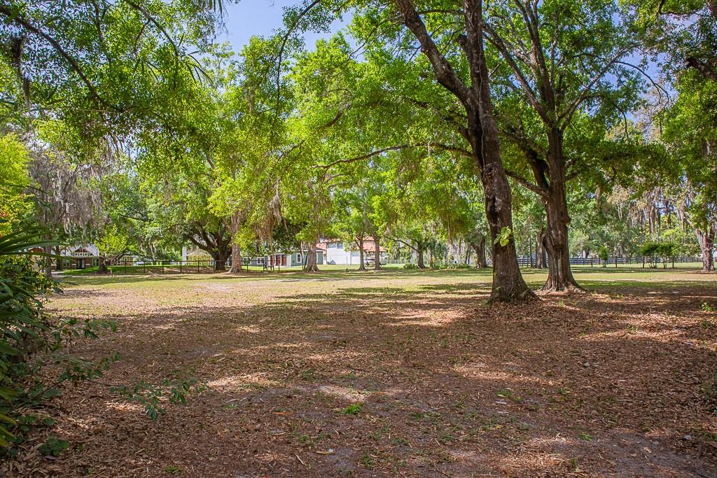 13815 PLAINVIEW RD — photo 27