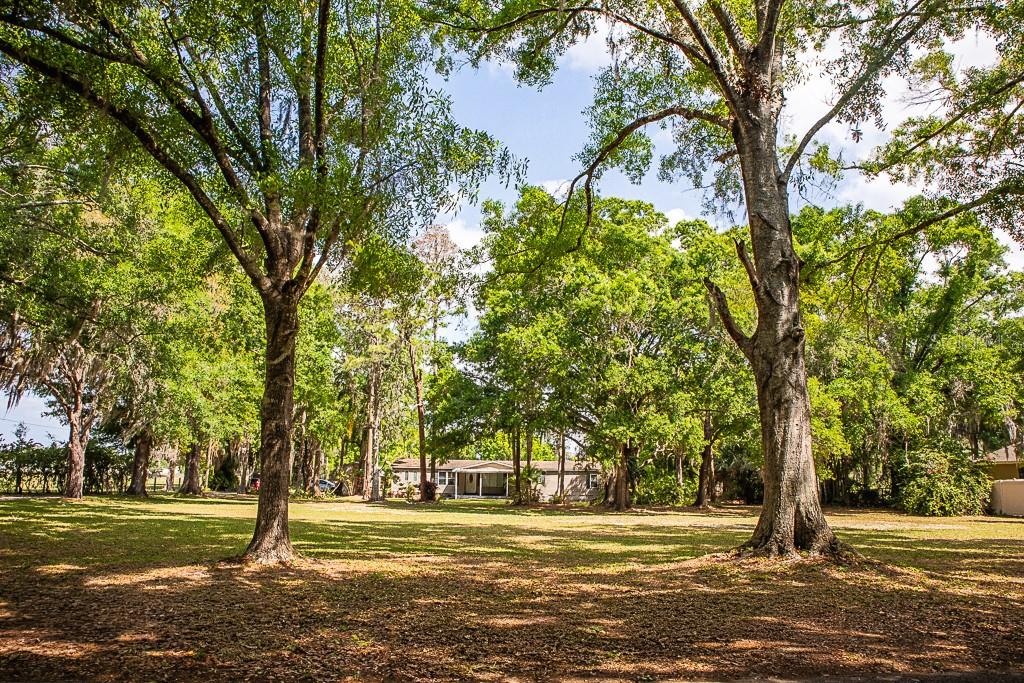 13815 PLAINVIEW RD — photo 33