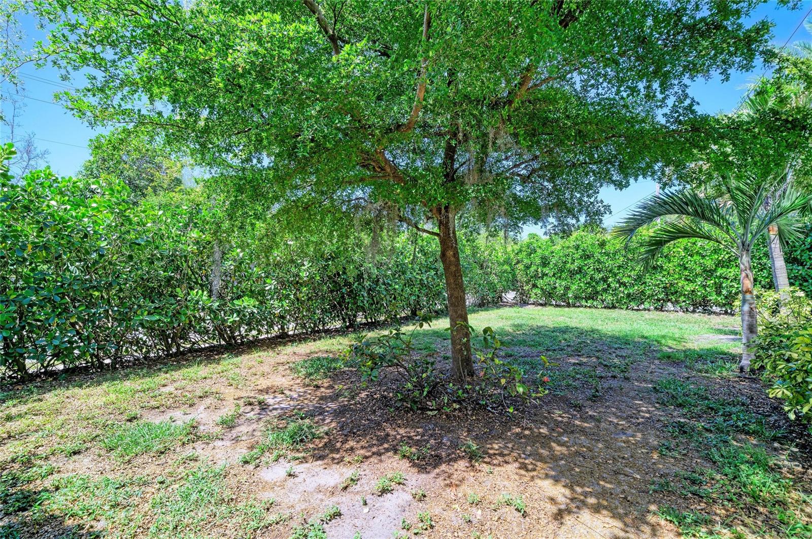 3710 RILMA AVE — photo 33
