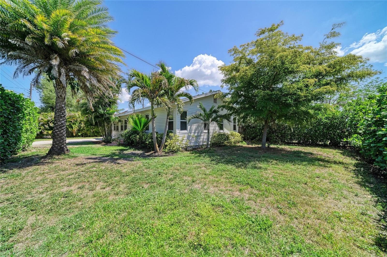 3710 RILMA AVE — photo 34
