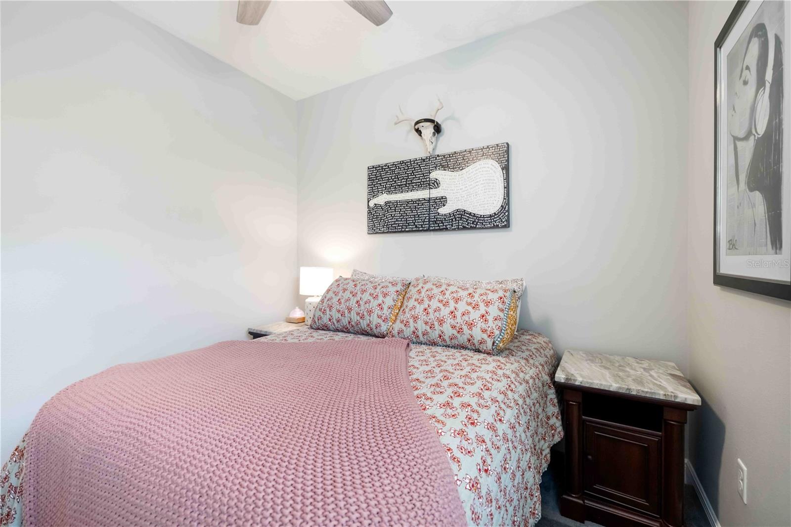 2669 STAR APPLE WAY — photo 34