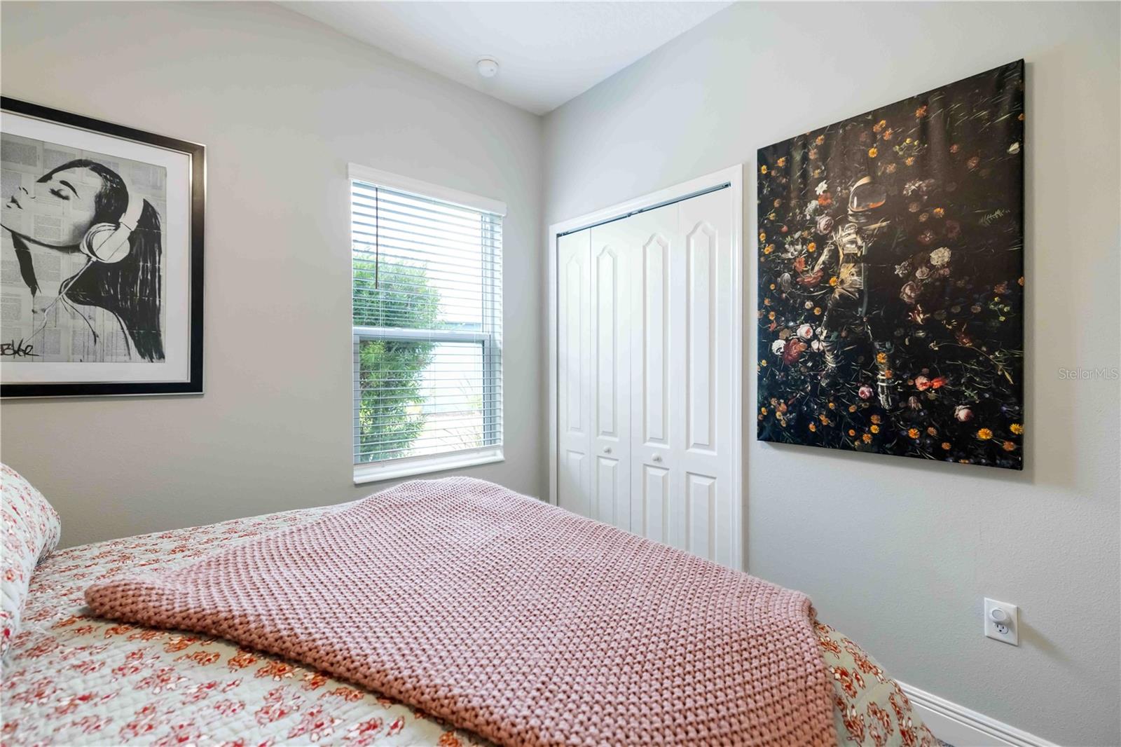 2669 STAR APPLE WAY — photo 35