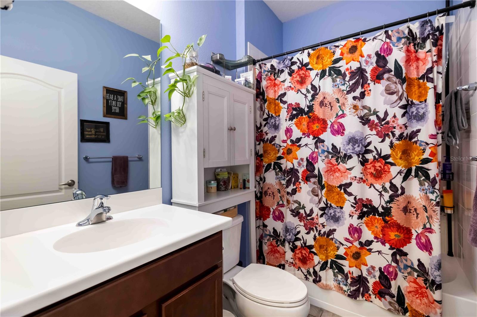 2669 STAR APPLE WAY — photo 36