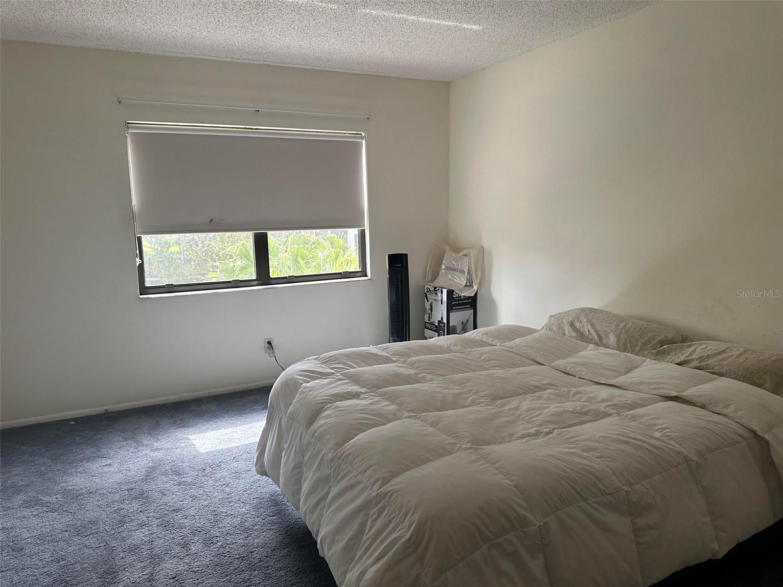 5090 BAY ST NE #220 — photo 9