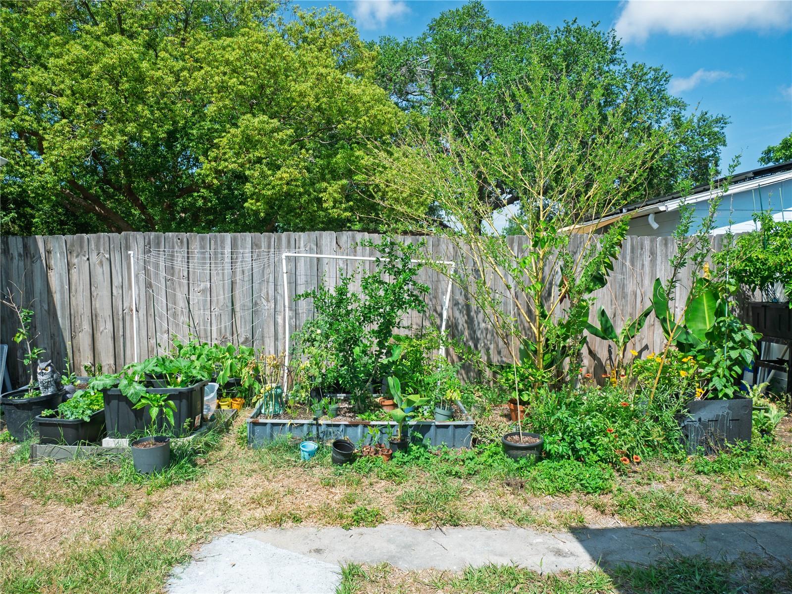 6436 CARDINAL DR — photo 30