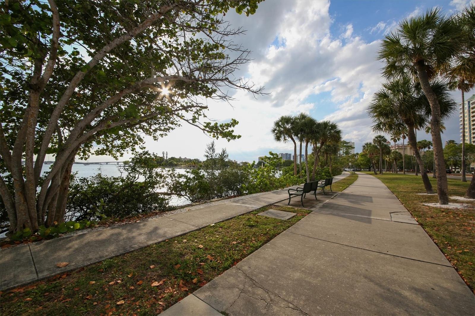 4660 OCEAN BLVD #Q2 — photo 85