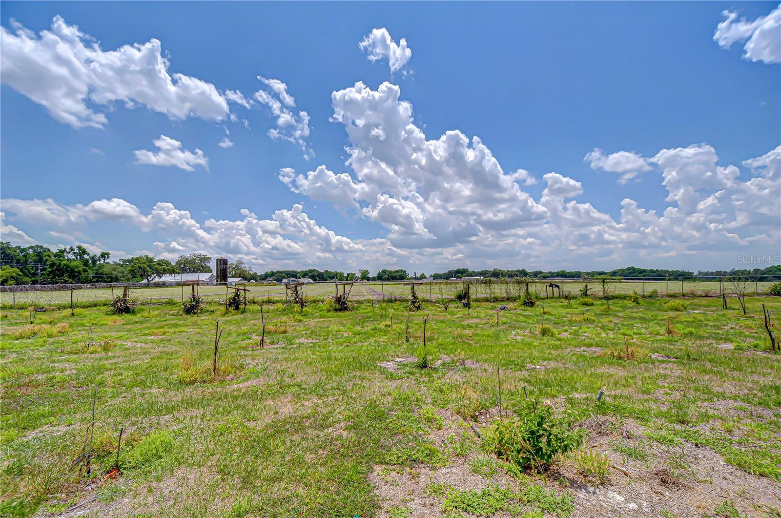 4036 MOORES LAKE RD — photo 5