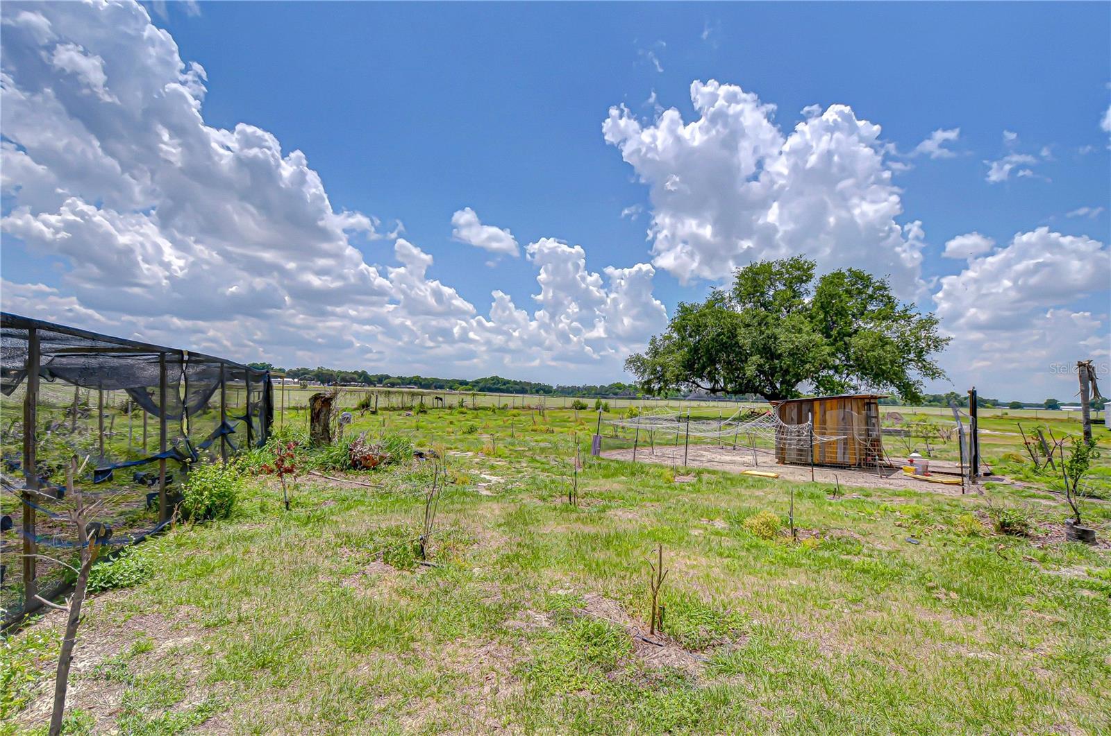 4036 MOORES LAKE RD — photo 4
