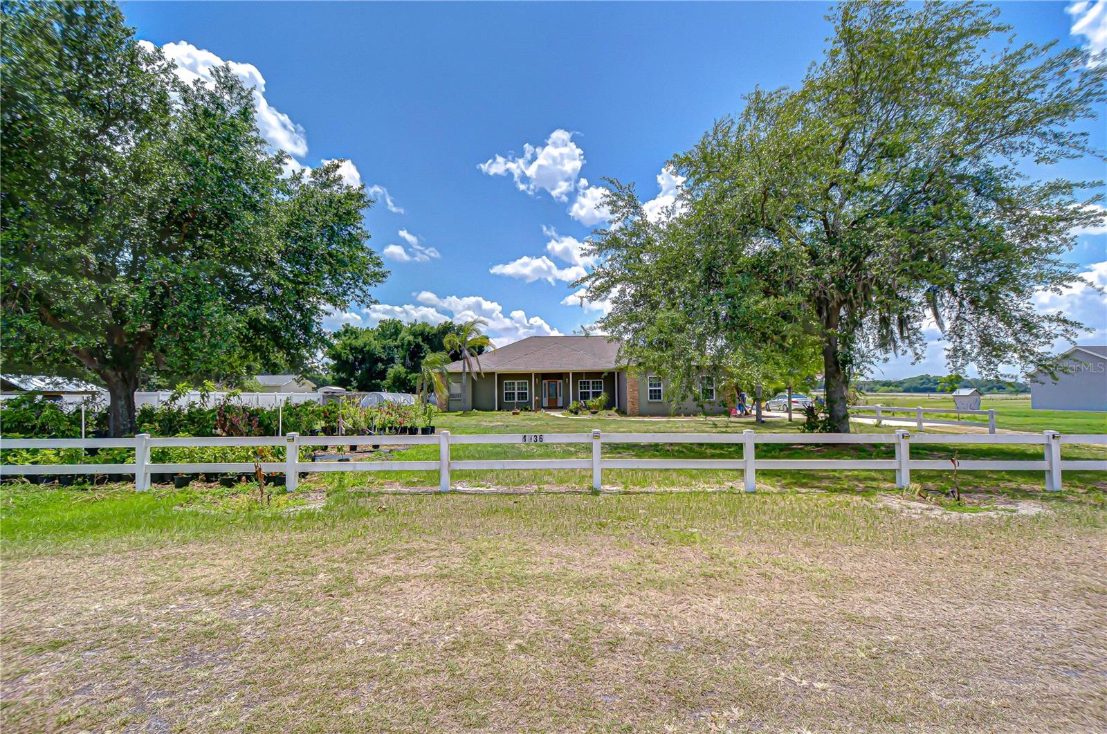 4036 MOORES LAKE RD — photo 18