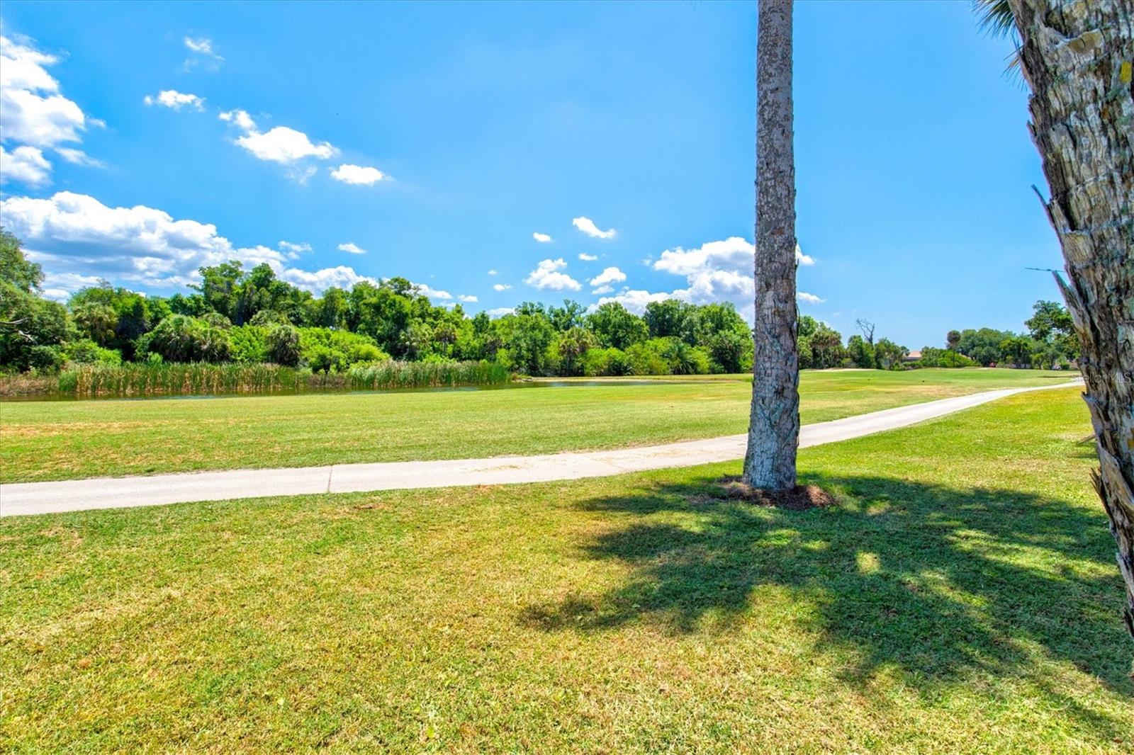 792 CAPRI ISLE BLVD #134 — photo 35