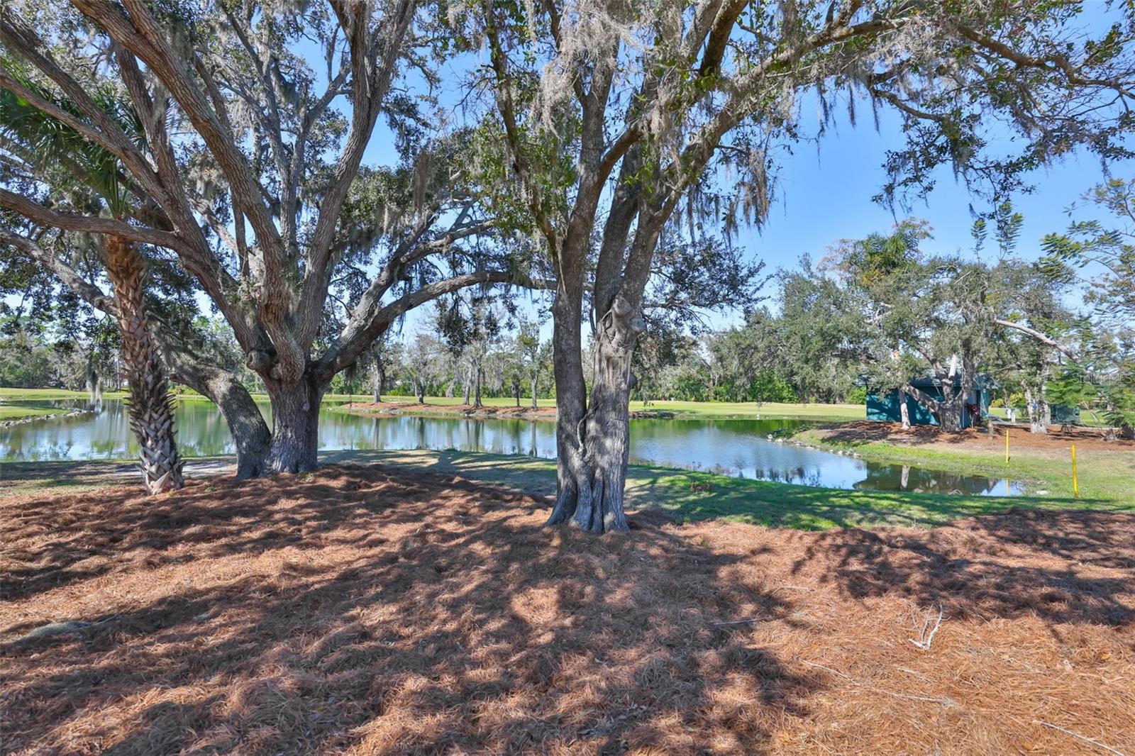 1254 W DEL WEBB BLVD — photo 37