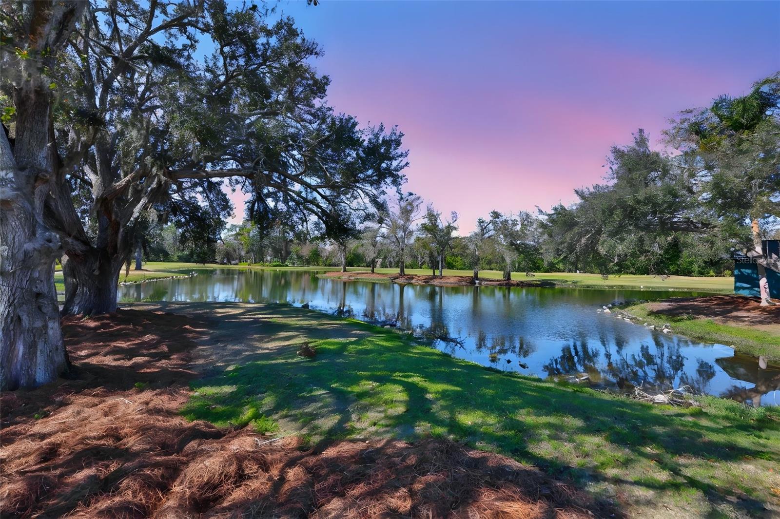 1254 W DEL WEBB BLVD — photo 3