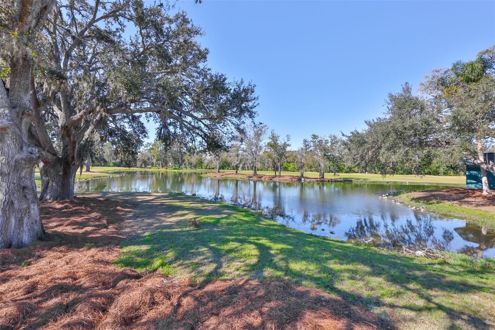 1254 W DEL WEBB BLVD — photo 38