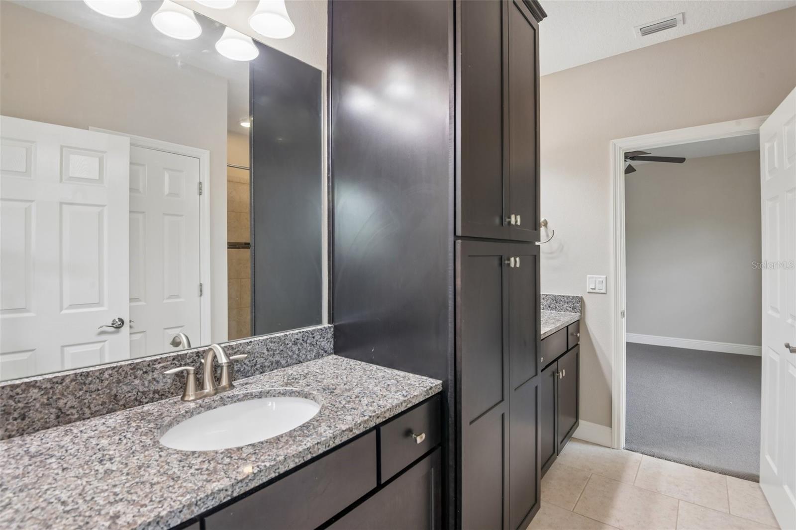 8355 SWISS CHARD CIR — photo 24