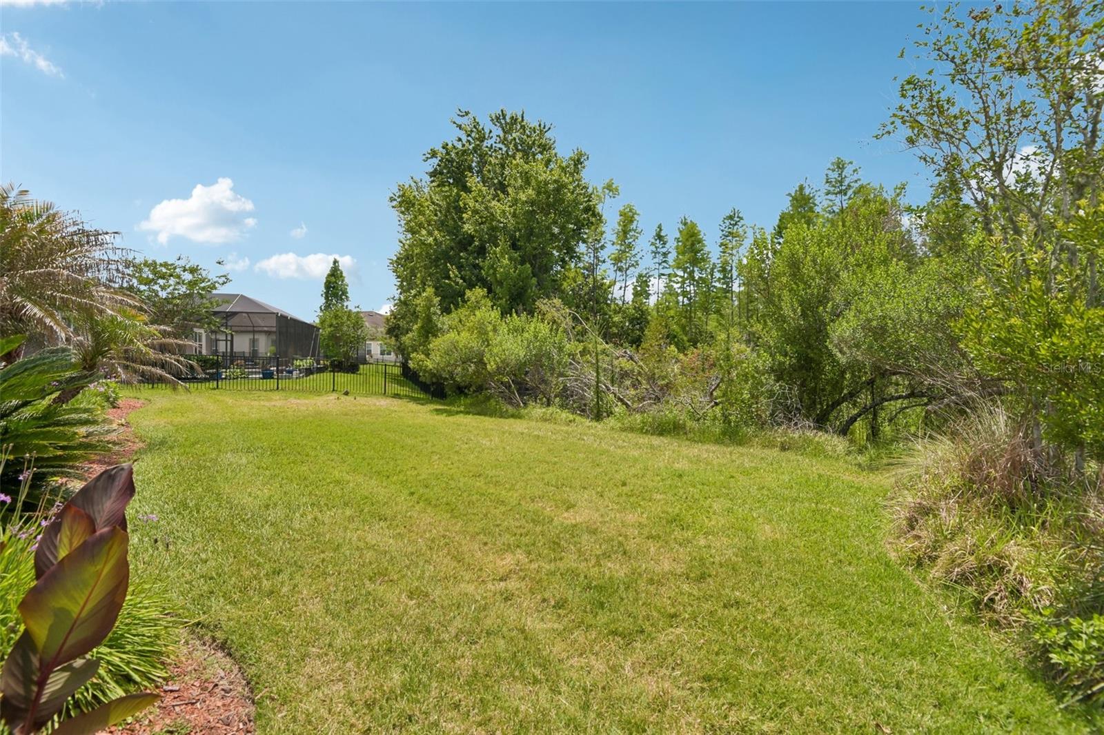 8355 SWISS CHARD CIR — photo 34