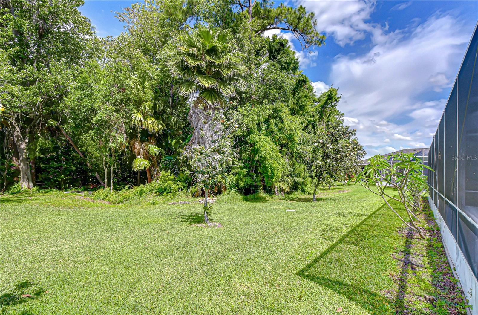 9815 GINGERWOOD DR — photo 43